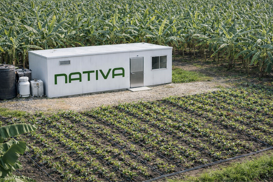 Sistema productivo Nativa